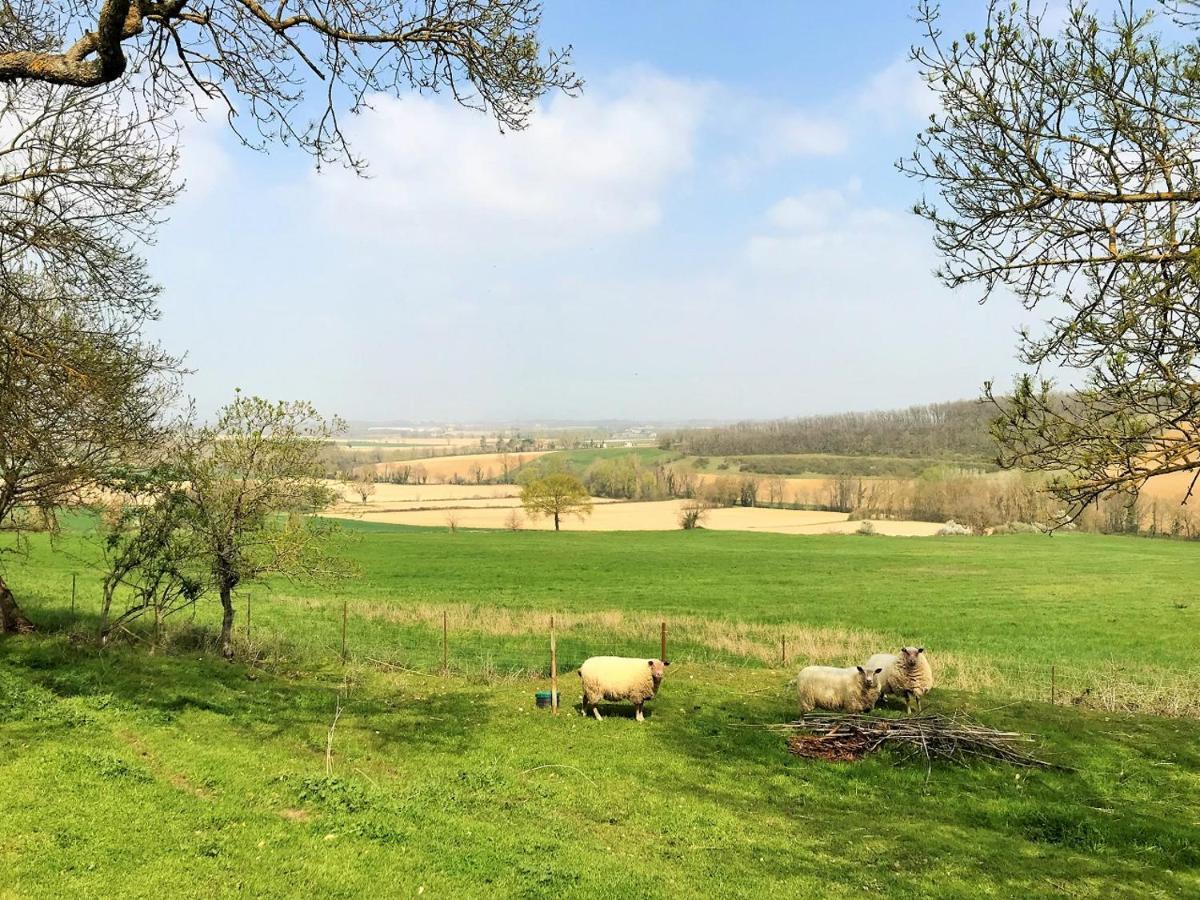 Le Gite Nature Bien-Etre Piscine Chauffee Privee Du Tarn Entre Toulouse Et Albi & Les Cottages Du Tarn Peyrole Zewnętrze zdjęcie