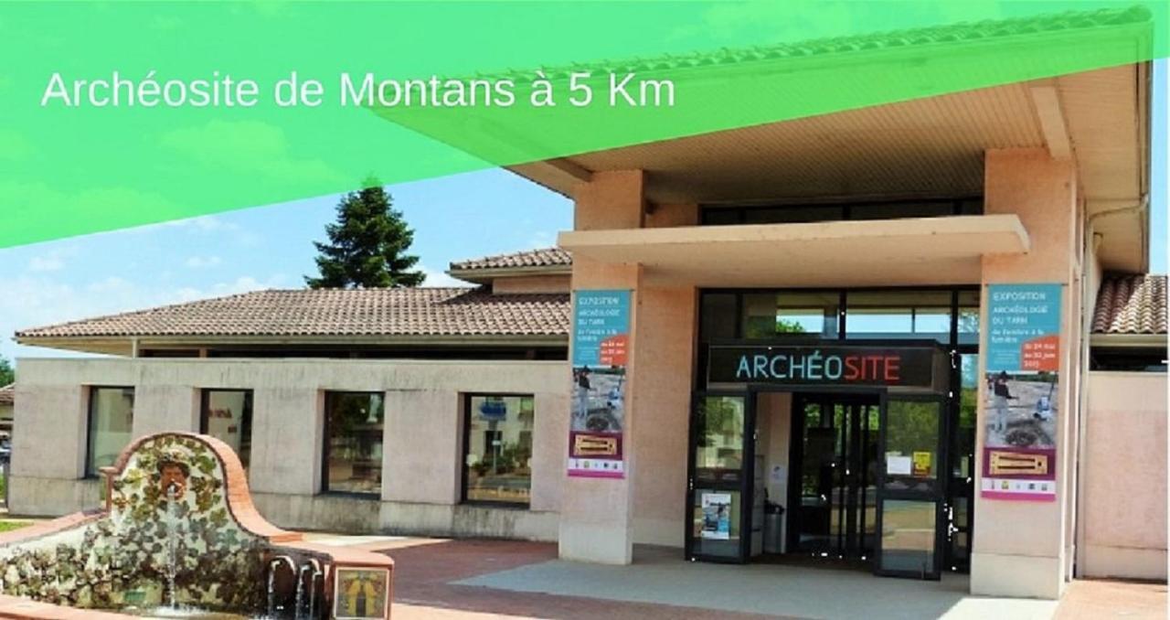 Le Gite Nature Bien-Etre Piscine Chauffee Privee Du Tarn Entre Toulouse Et Albi & Les Cottages Du Tarn Peyrole Zewnętrze zdjęcie